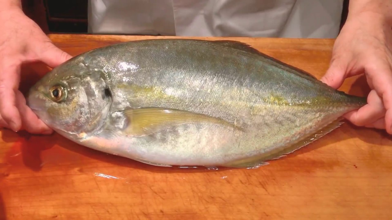 《天然シマアジ(縞鰺)（White trevally)の刺身》・・・・大和の 和の料理《刺身》