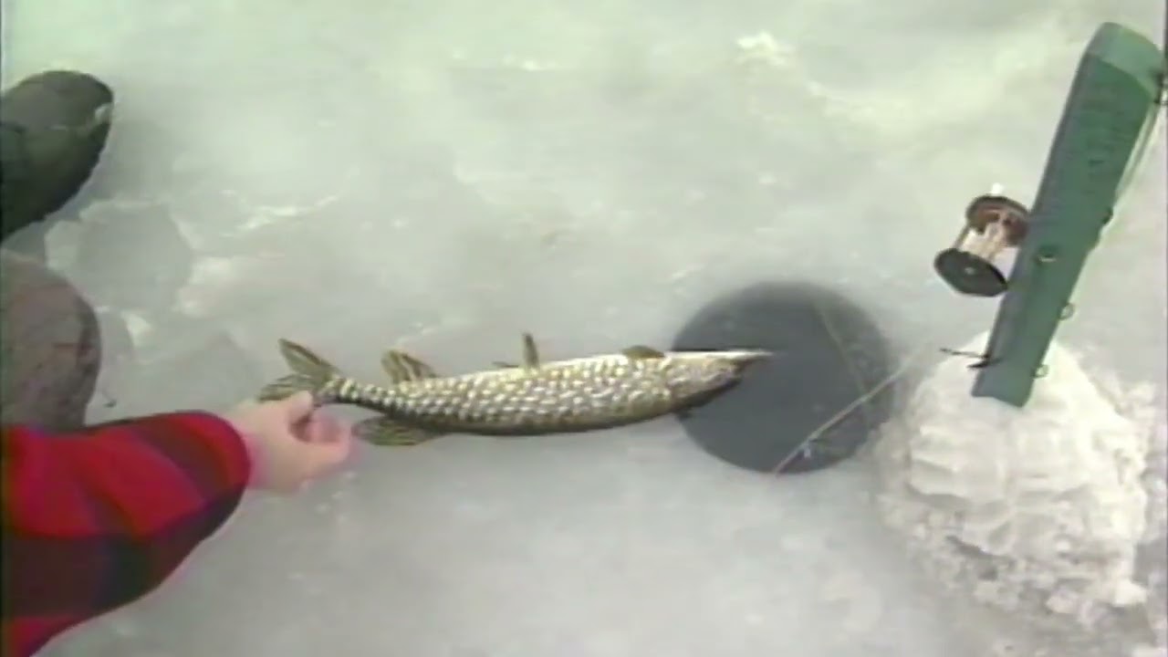 Tip Up Fishing Houghton Lake