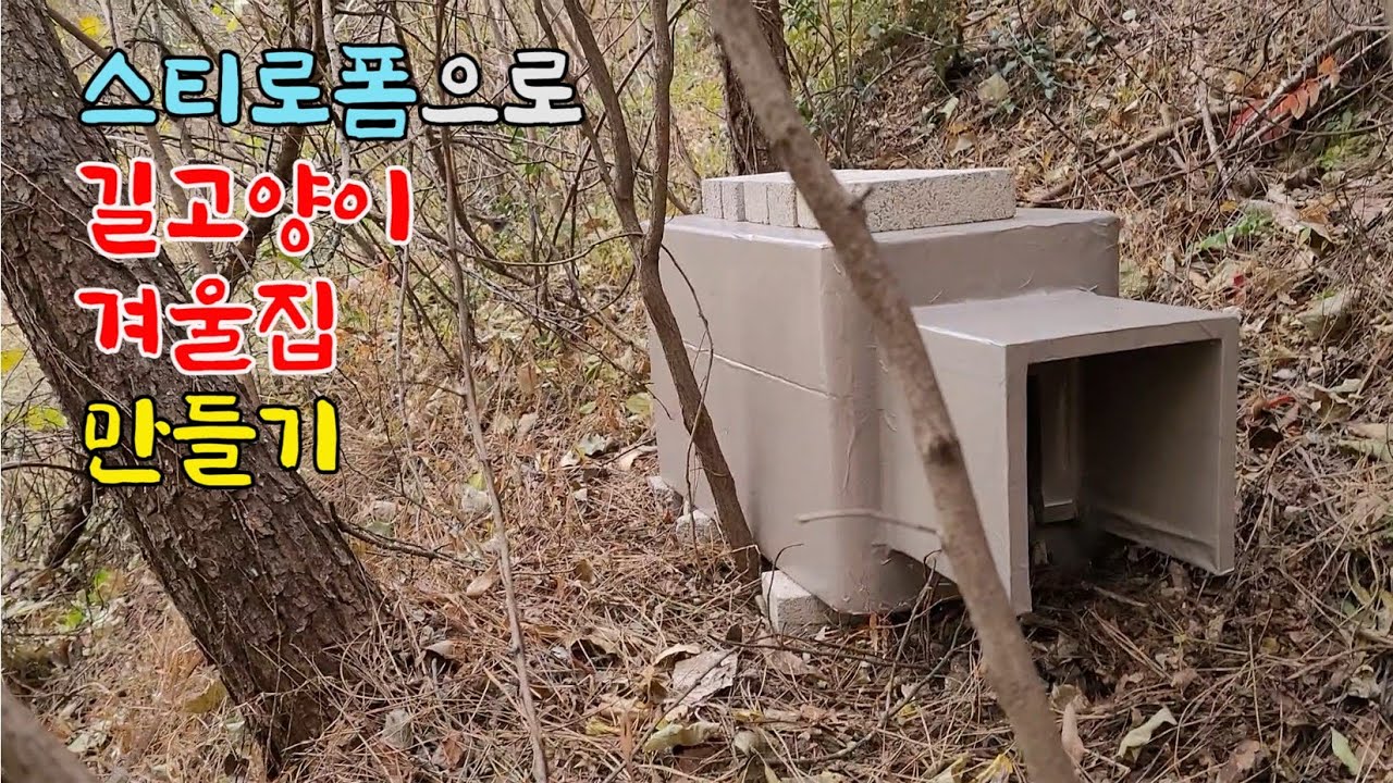 스티로폼으로 길고양이 겨울집 만들기