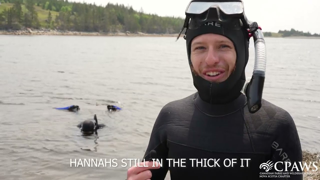 The Spectacular St. Mary's River