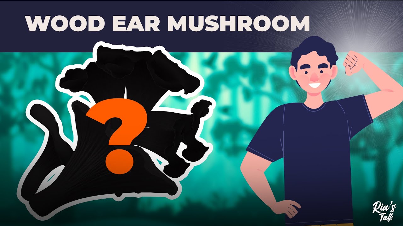 Surprising Benefits of Black Fungus (Wood Ear Mushrooms)