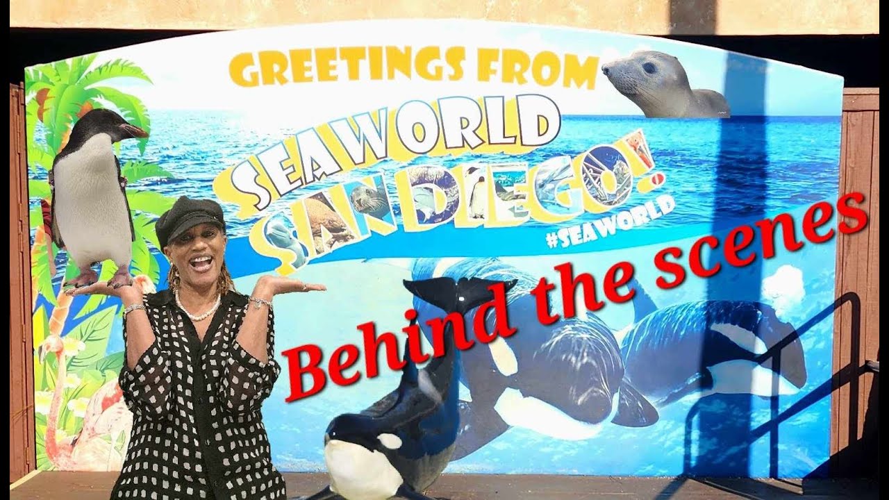 Where are we TripN to | SeaWorld San Diego VIP Tour | Behind the scenes | Part 2 of Sea World day