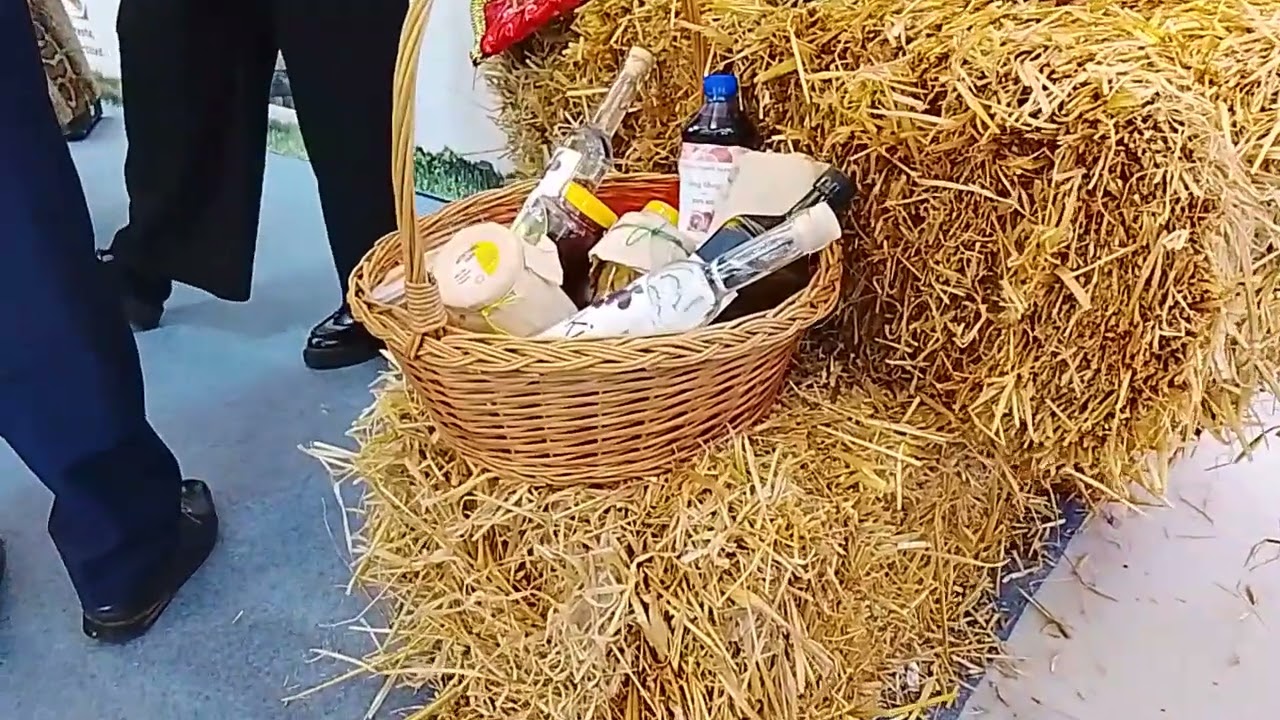 Автоктонусовая ферма в Шкалльнуре
