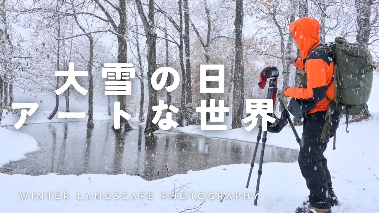 【自然写真】大雪の日にしか見れないアートな世界|GFX100Sll