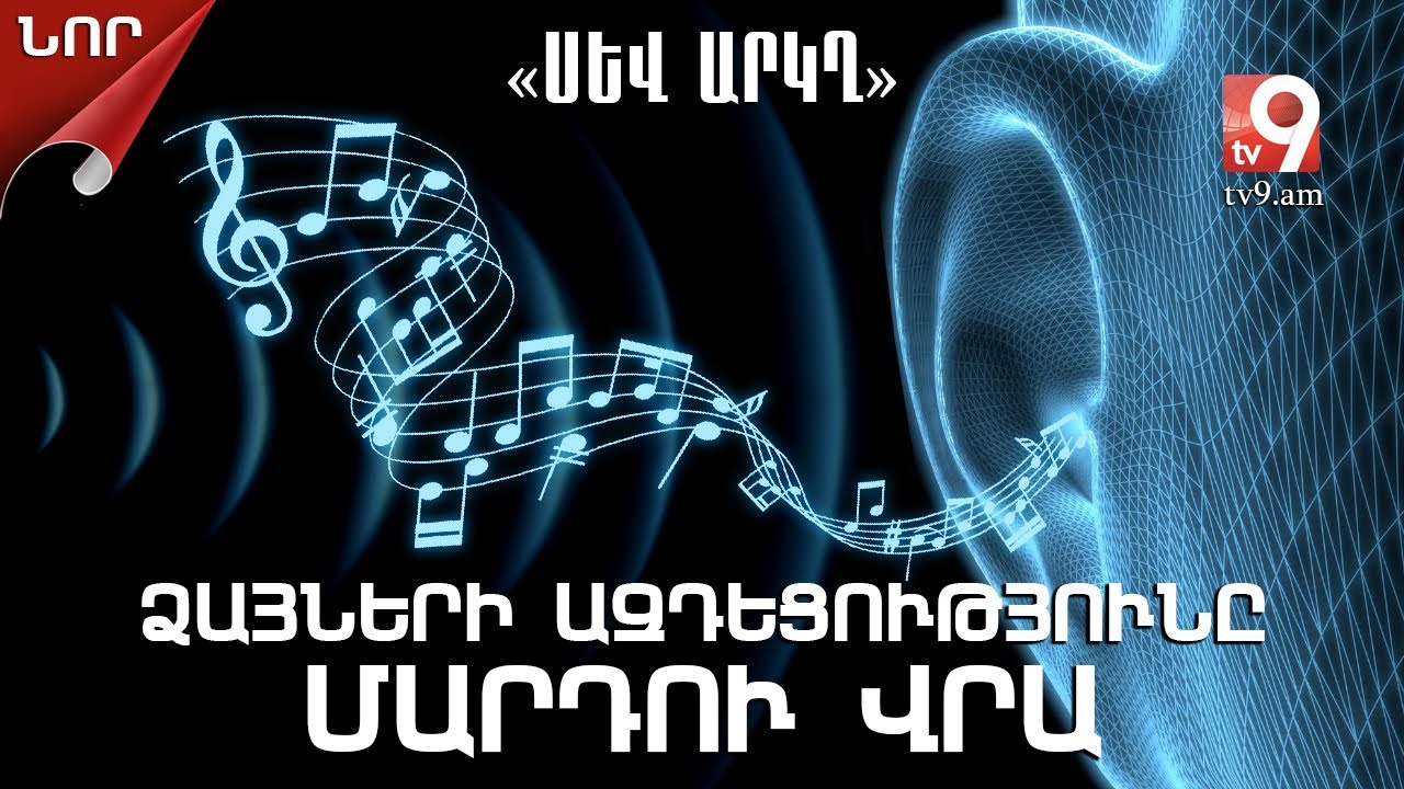 Ձայների ազդեցությունը մարդու վրա. «ՍԵՎ ԱՐԿՂ» #4