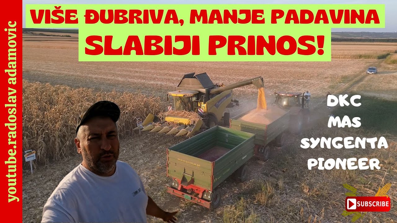 MIRE SE UMORIO:VIŠE ĐUBRIVA, MANJE PADAVINA, SLABIJI PRINOS ; MORE FERTILIZER, LESS RAIN, LOW YIELDS
