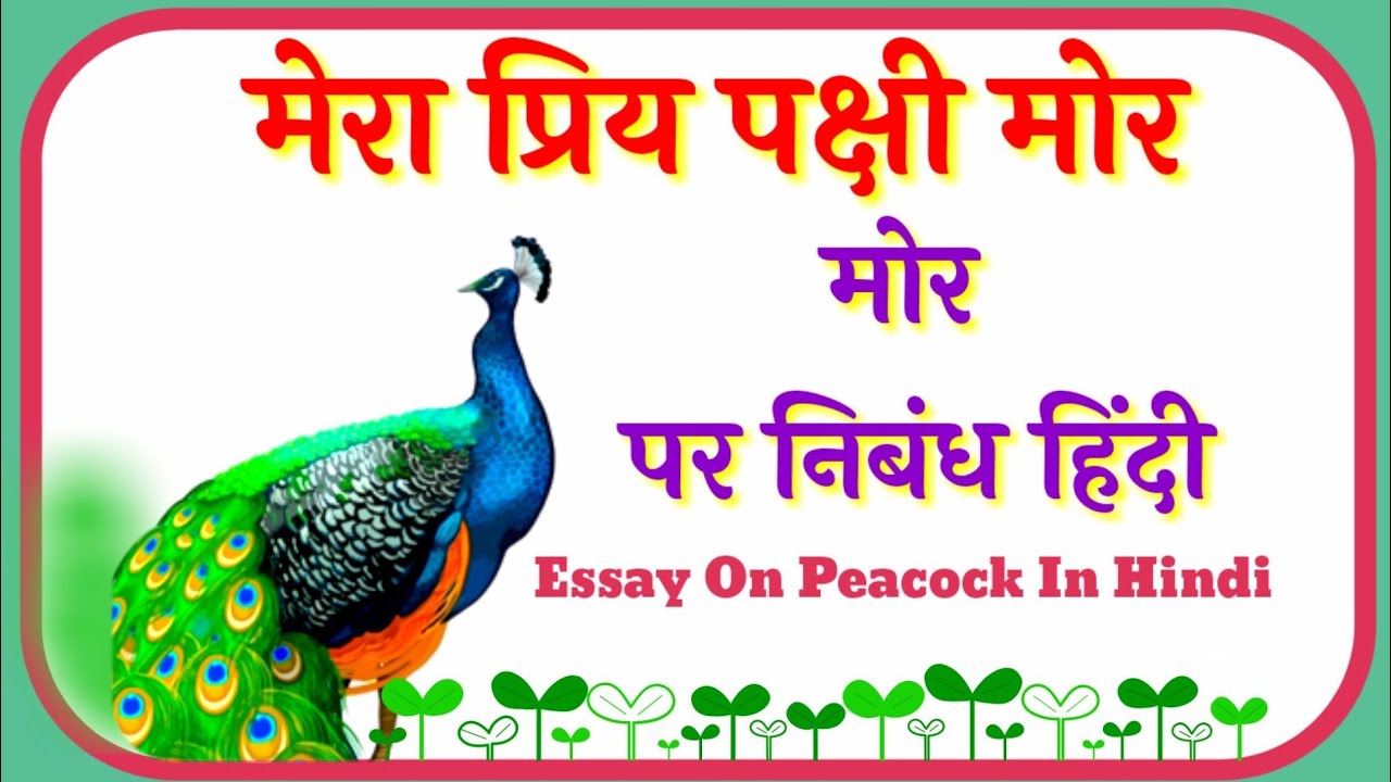 मोर पर निबंध/मेरा प्रिय पक्षी/राष्ट्रीय पक्षी मोर पर निबंध/hindi essay on peacock@Kahani_Vishwa