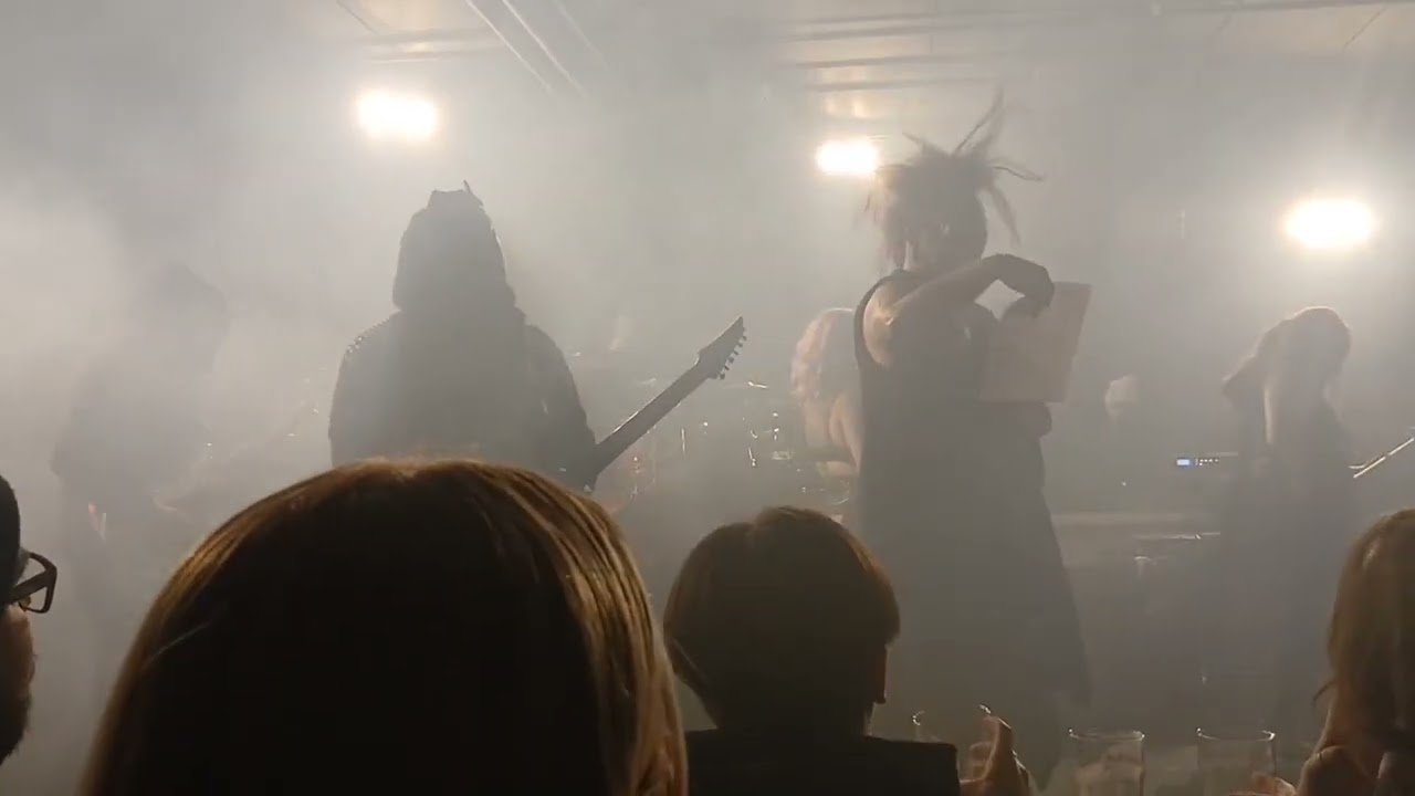FEAR OF DOMINATION LIVE 