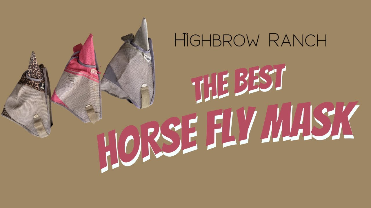 Best Fly Mask for Horses? Our Honest Cashel Fly Mask Review