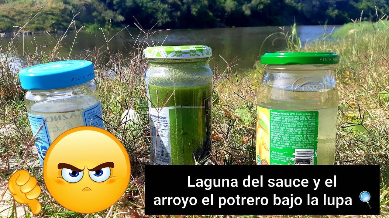 Laguna del Sauce y Arroyo el potrero bajo la lupa!!!