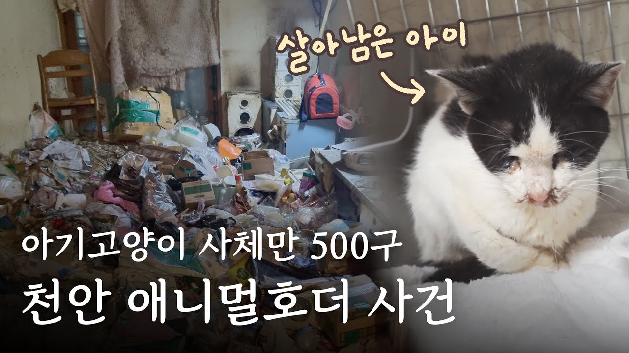 이건 정말..역대 최악입니다