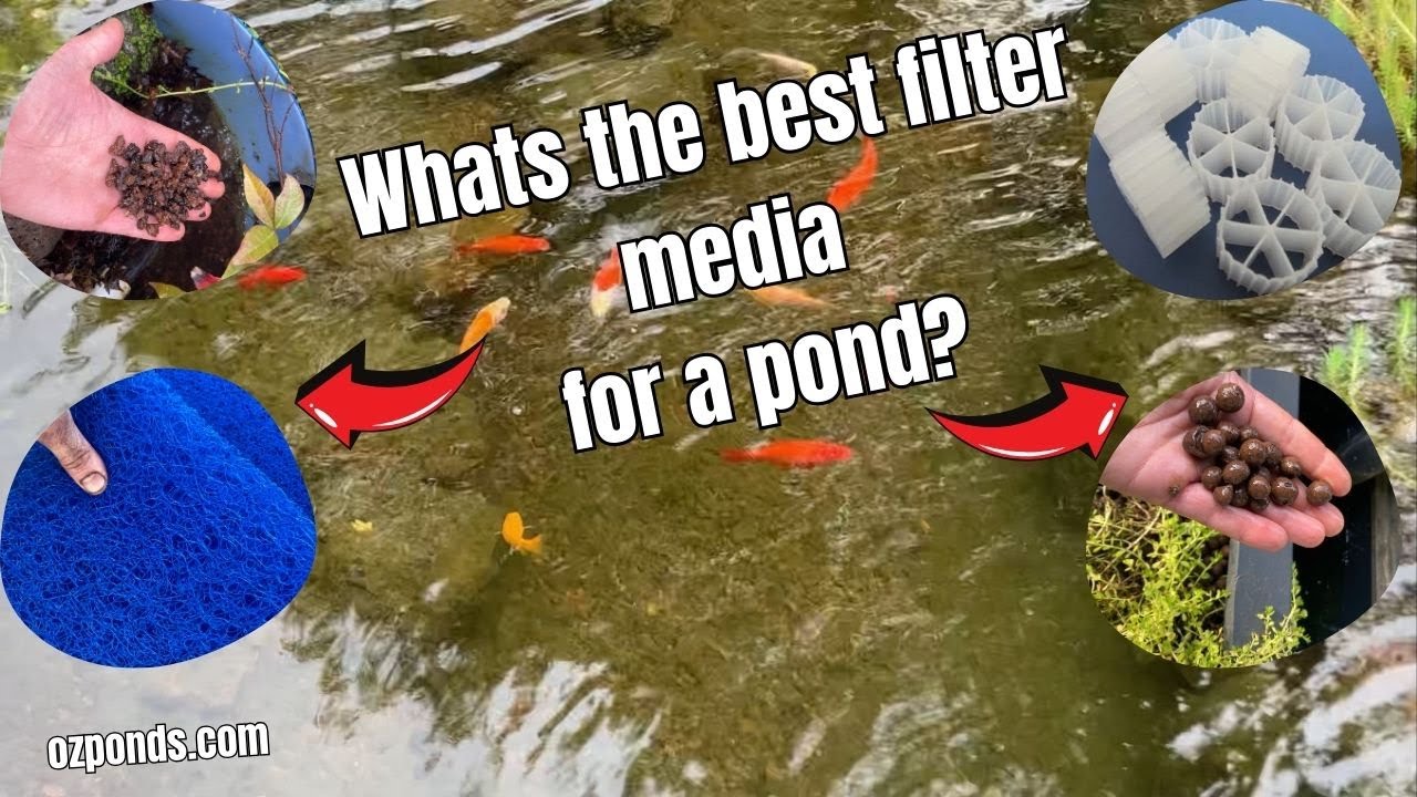Jaki jest najlepszy filtr do oczka wodnego?