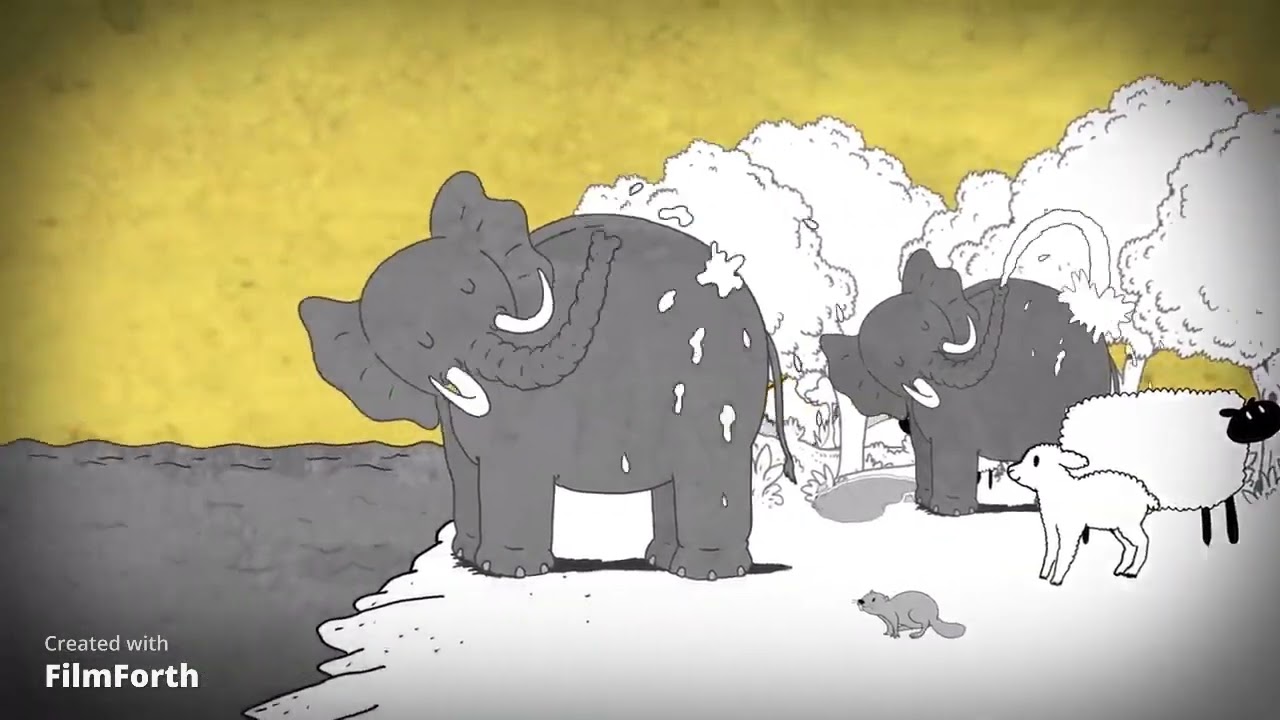 The Man 2020 - BITXIKERIAK