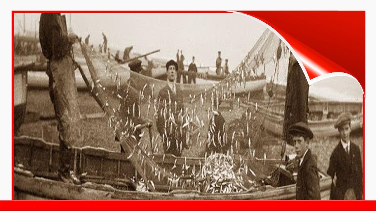 55 Old Photographs That Document Daily Life Of Suffolk, England During Edwardian Era !
