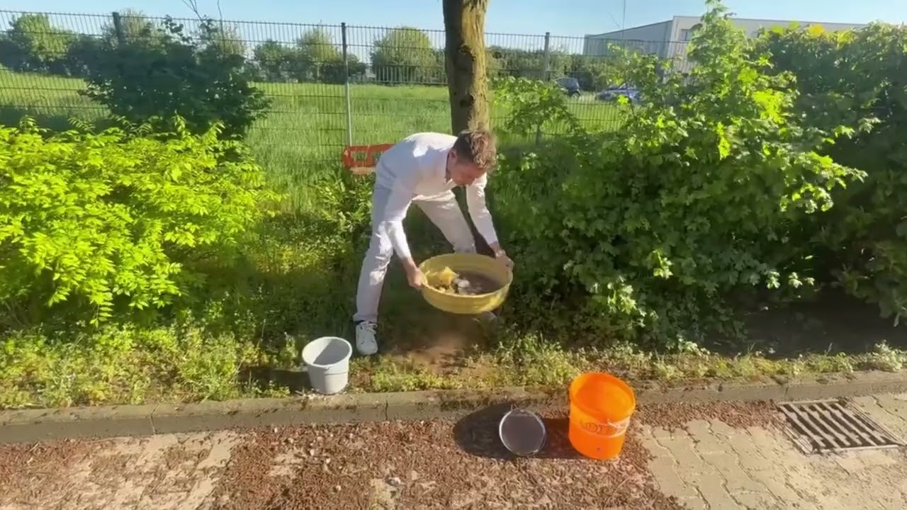 Brauchst Du einen wash-bear?