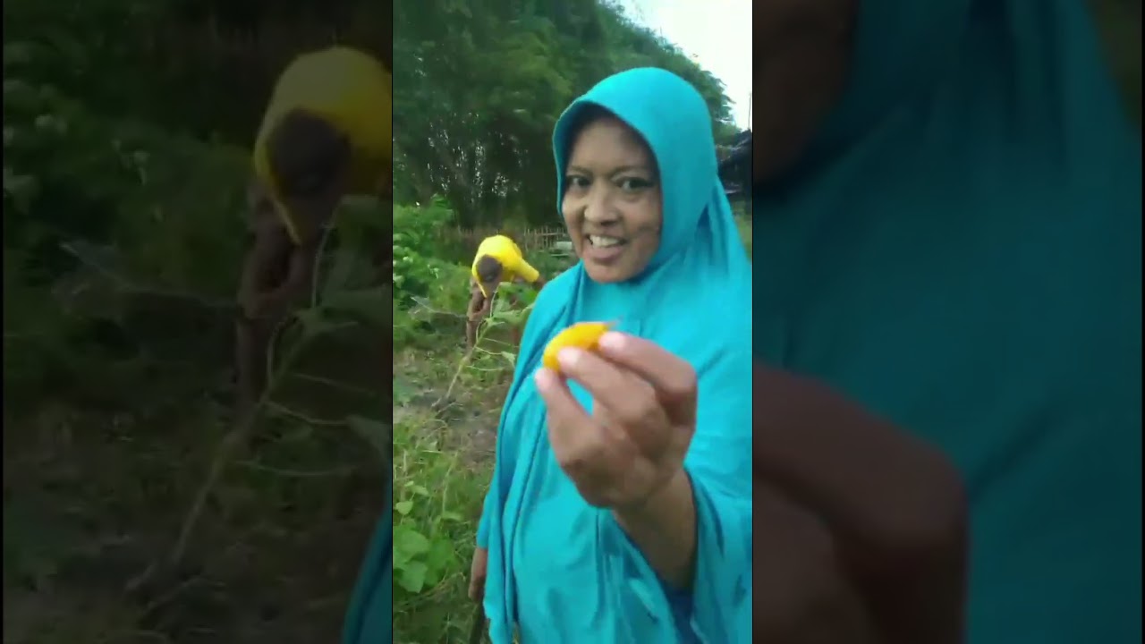 Masak sayursop tahu putih
