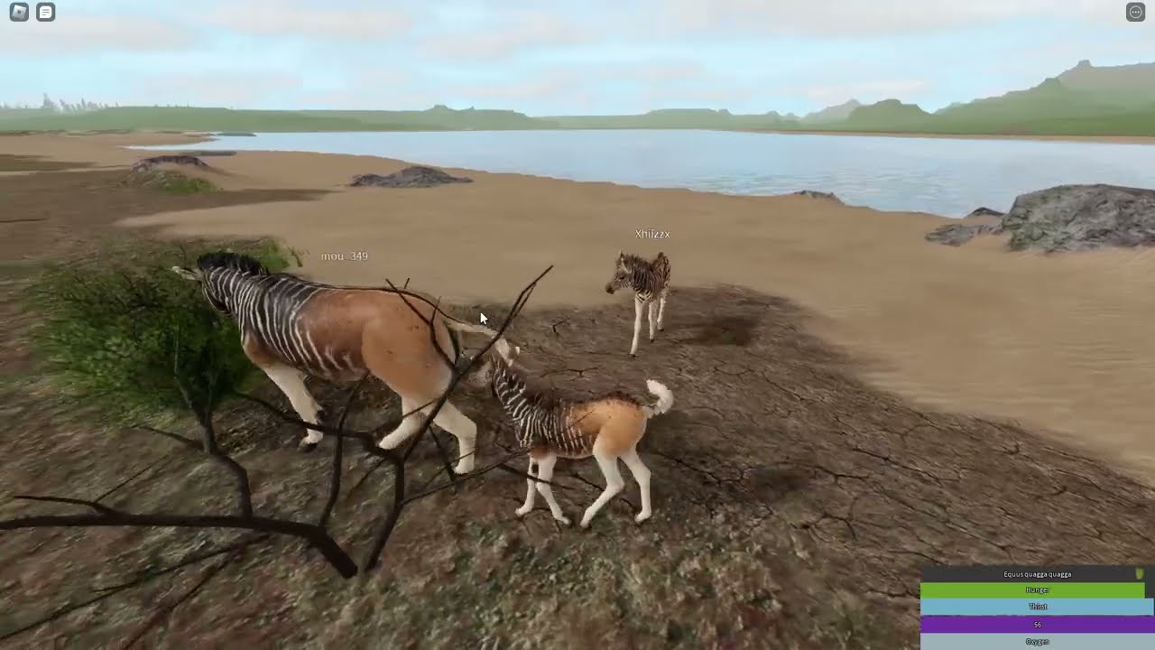 Quagga Herd - (Cenozoic Survival Classic)