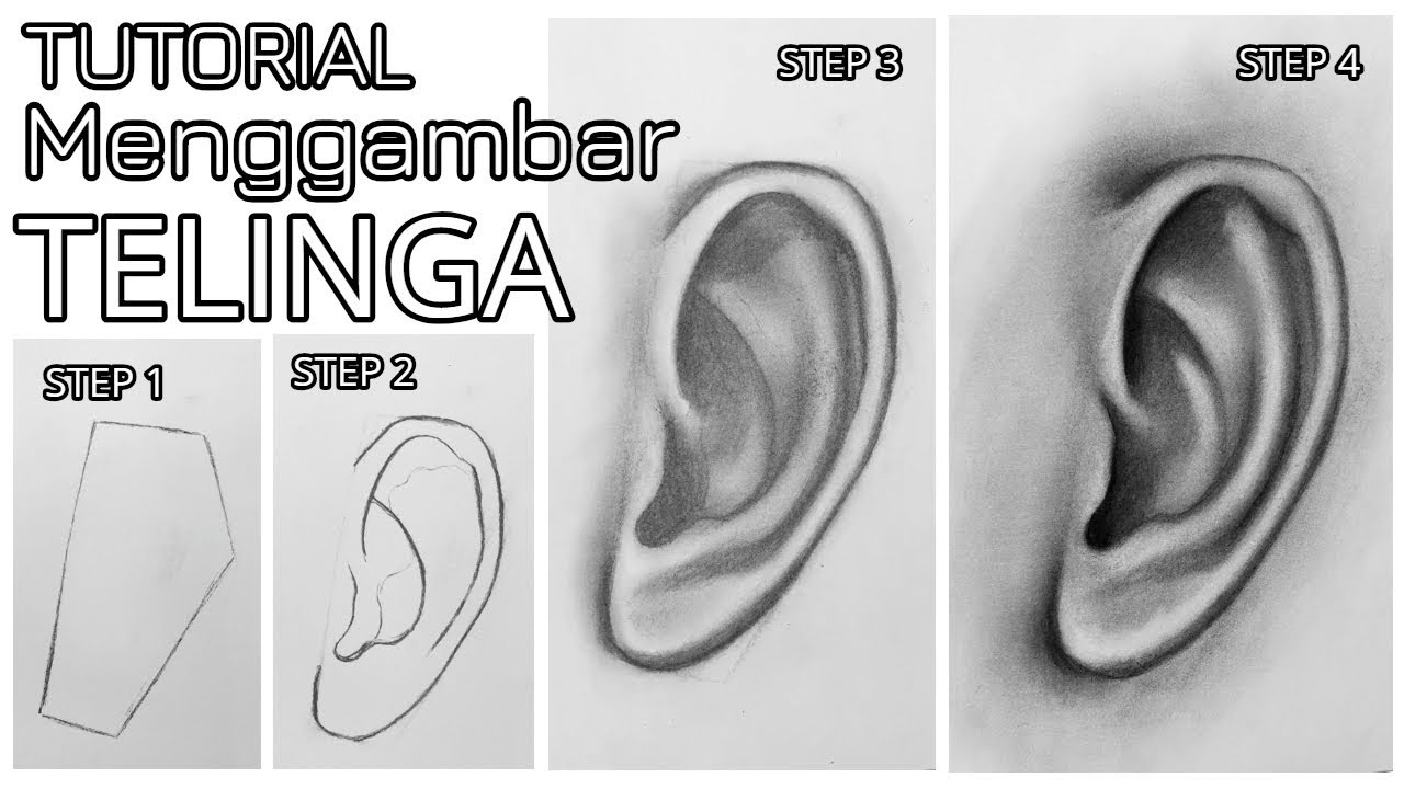 TUTORIAL - Belajar, Langkah-langkah CARA MENGGAMBAR TELINGA