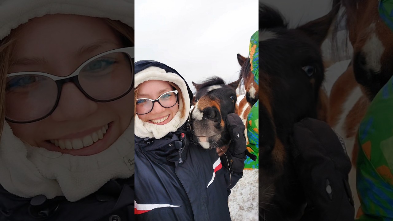 No i dotarliśmy do koni 🐴🤍❄️