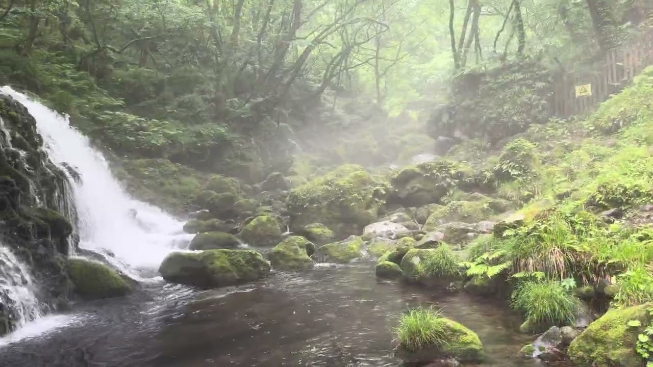 にかほ市・元滝伏流水【秋田県一人旅】苔と水が描く緑のカーテン──静けさに包まれる癒しの滝へ