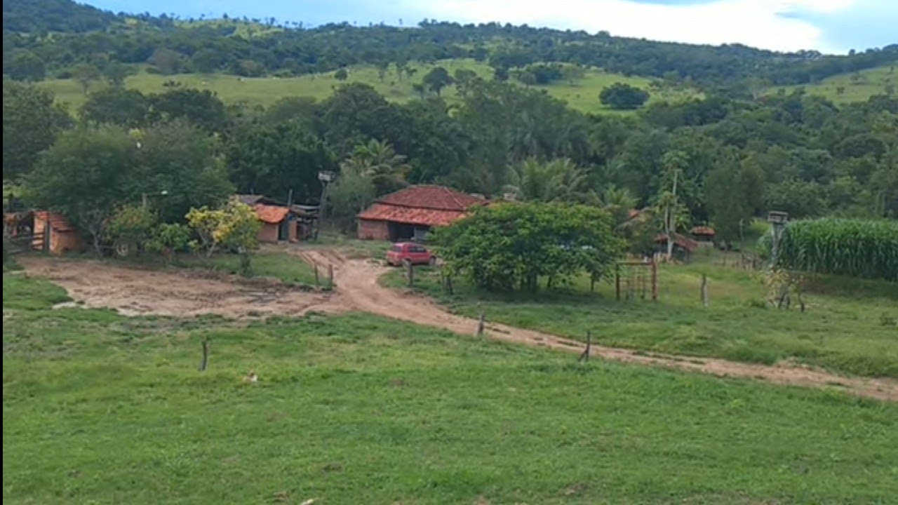 Chácara 6 ALQUE e meio Valor 2.000.000  15KmPontalinaSem Porteira Fechada  120kmGoiânia 62 981414270