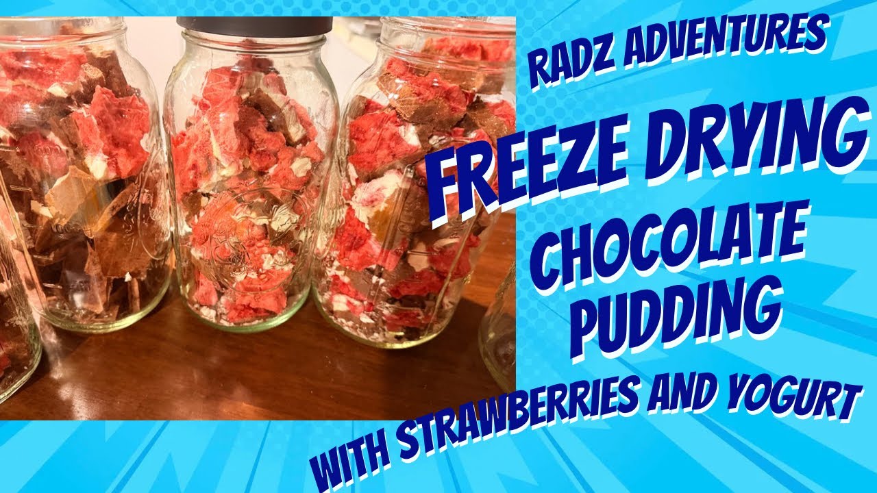 Freeze dried chocolate pudding