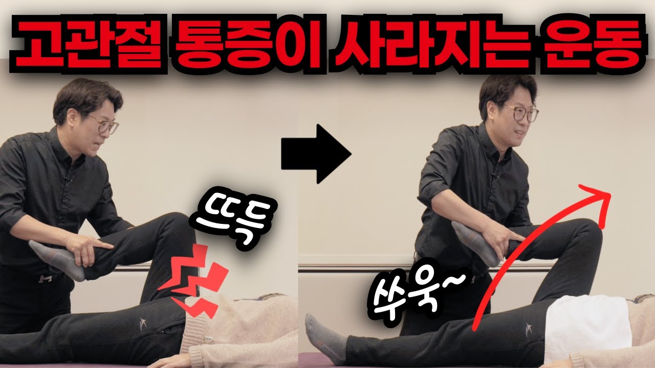 골반 고관절 통증이 즉시 사라지는 관리법 운동법 | 고관절소리 고관절통증 골반통증 고관절찝힘 해결