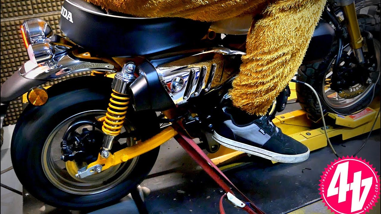 DYNO | Honda Monkey