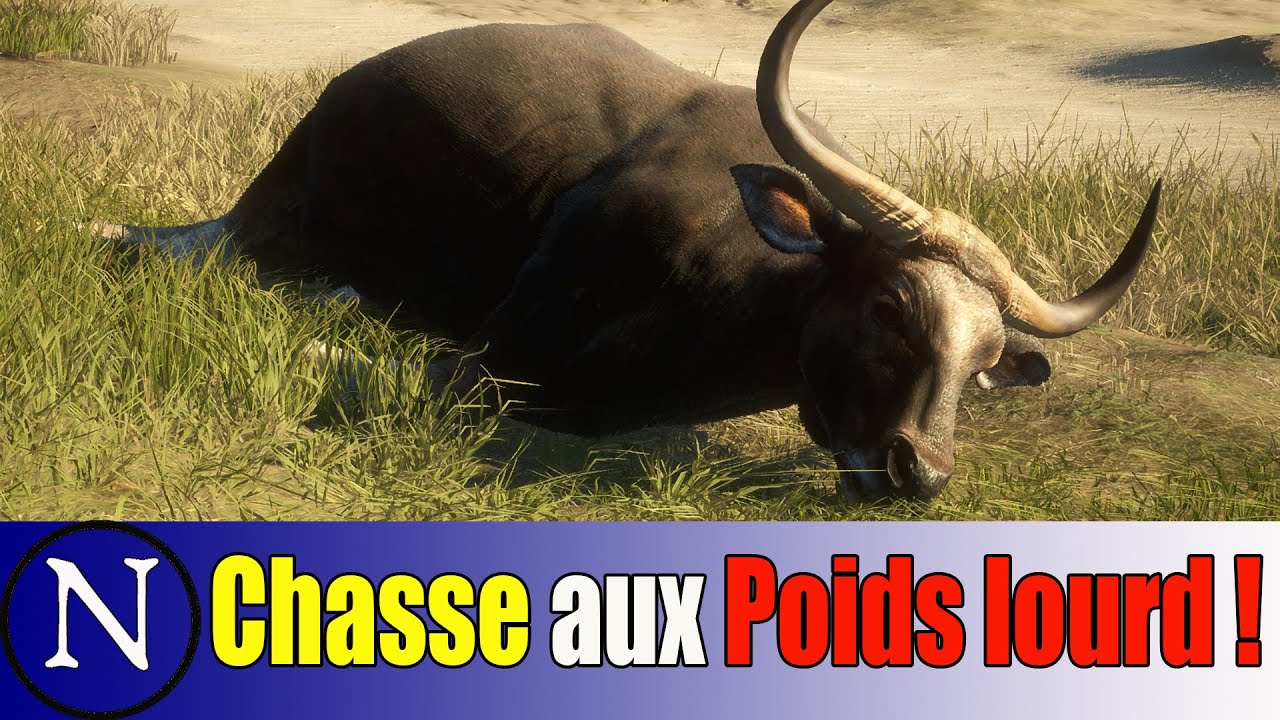 The Hunter COTW : chasse aux poids lourds !