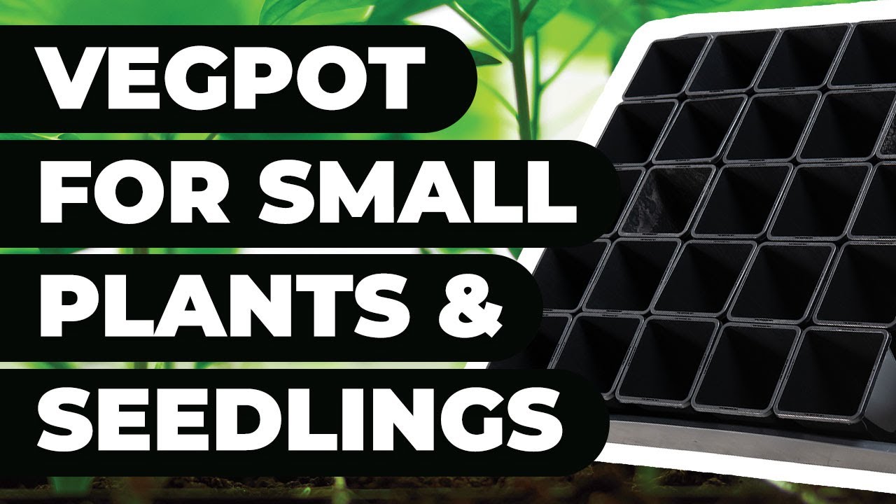 Kickstart Your Growth Cycle: The Veg Pot for Small Plants, Cuttings, and Seedlings from MegaPot