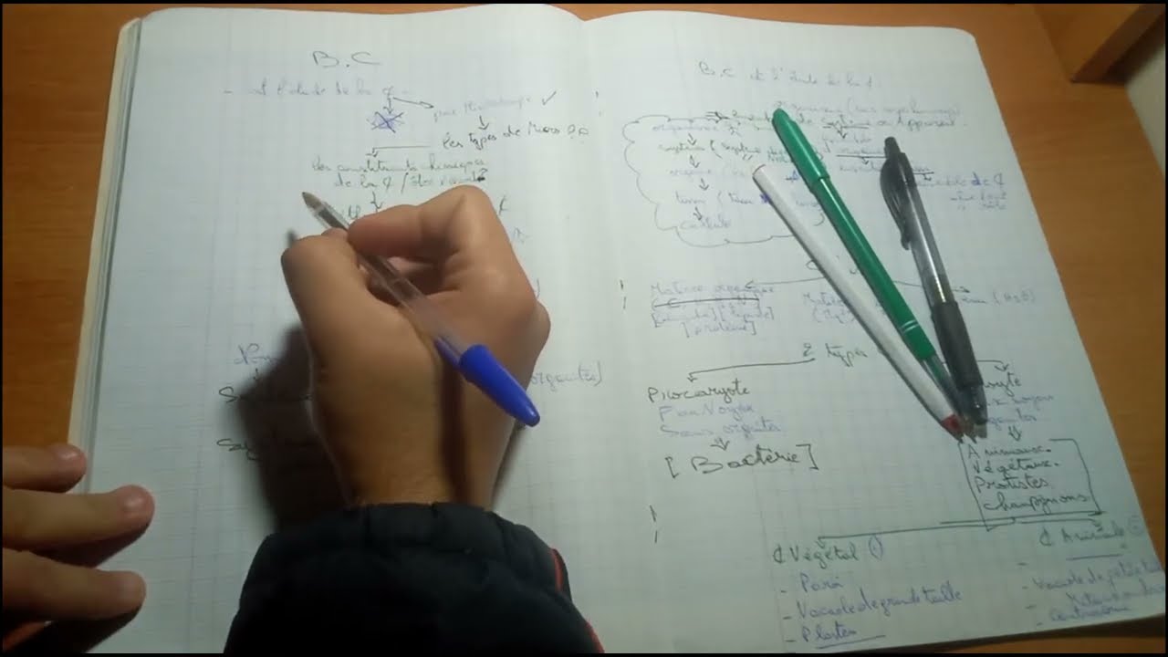 BIOLOGIE CELLULAIRE: Cellule en arabe de A à Z de la meilleure façon SV1