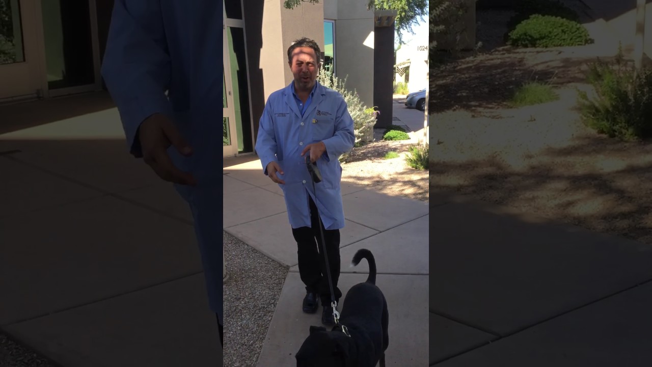 Tips on Injury Prevention and Walking your Dog🐶
