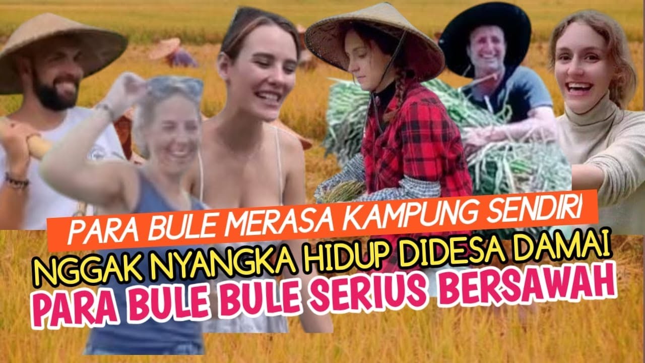 KOCAK ABIS ! KEPOIN MAS2 DAN MBAK2 BULE IKUT BORONGAN GARAP PADI DISAWAH KAYAK WARGA DESA BKN SELFOK
