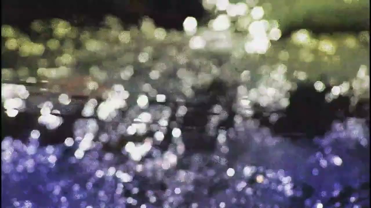 Black Brunswicker - Valley of Gold (Official Visualizer)