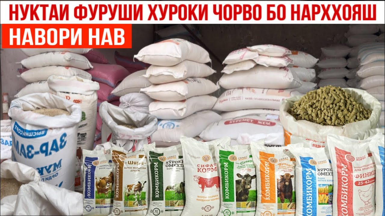 ХУРОКИ ЧОРВО БО НАРХҲОЯШ