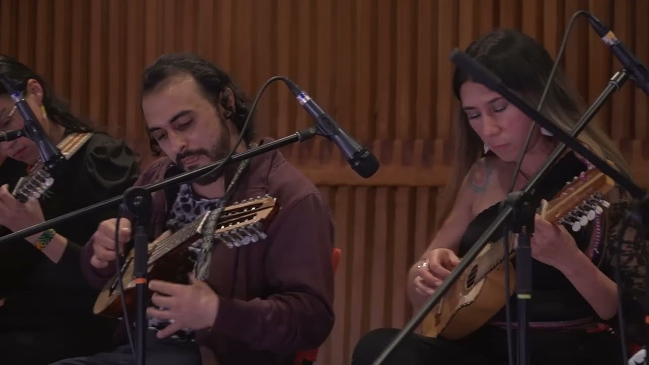 Muestras Semestrales Charango Intermedio - Flor de Huancayo