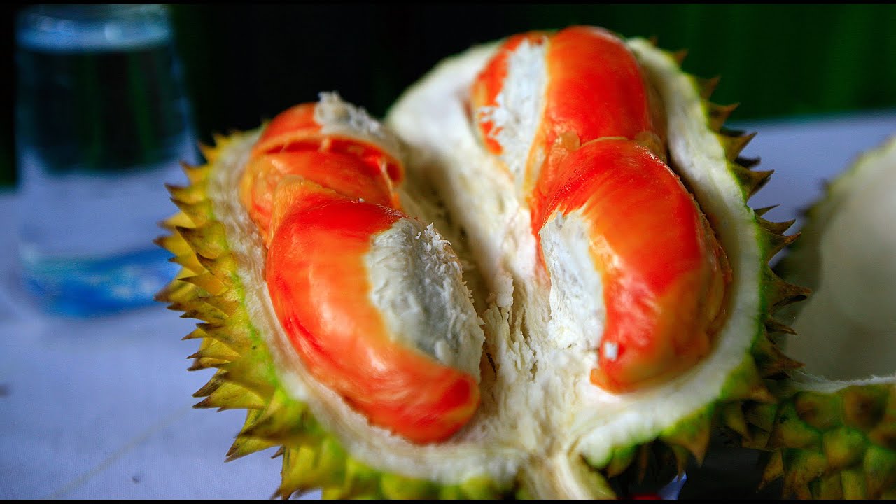 Red Durian Competition, the most unusual durian in the world, Banyuwangi, Indonesia