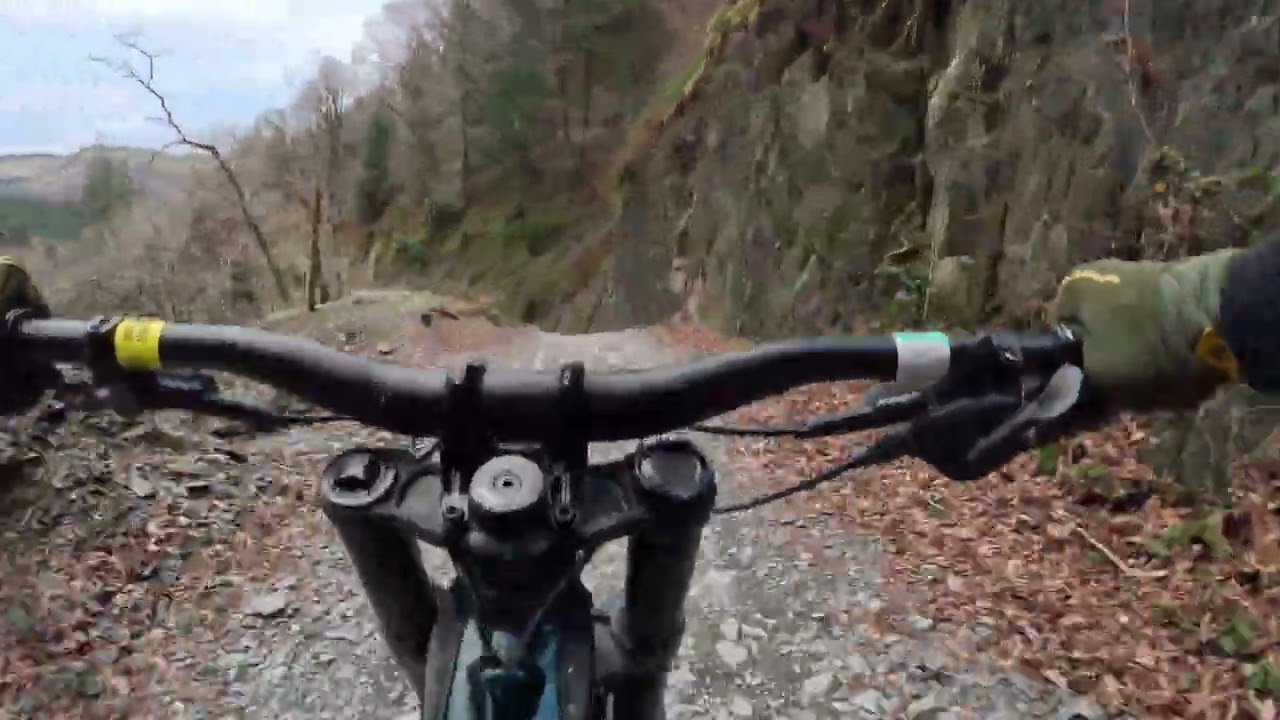 GX010133 - Dyfi 20251229