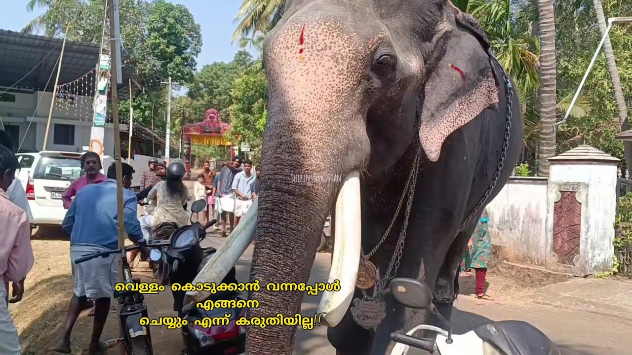 വെള്ളം ചോദിച്ചപ്പോൾ  ഇങ്ങനെ ചെയ്യുമെന്ന് കരുതിയില്ല / vadakurumbhakavu dhurgadasan / 