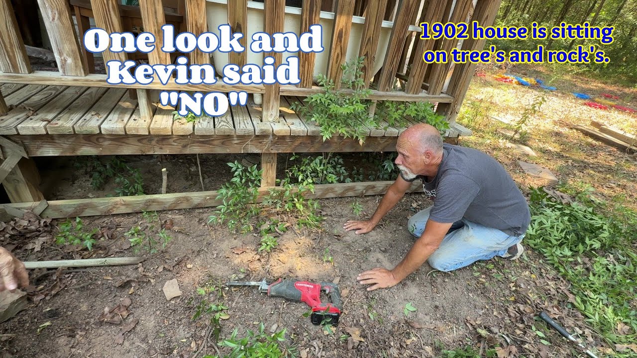 Time & hard work is all it takes. Landscape  #oldisgold, #tinyhouse #antiques #remodeling #goodwill