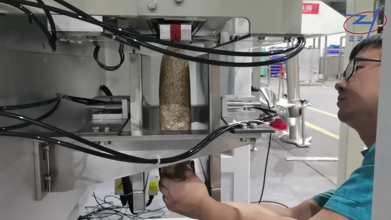 VFFS Bagging Machine for Vacuum Bag Packaging