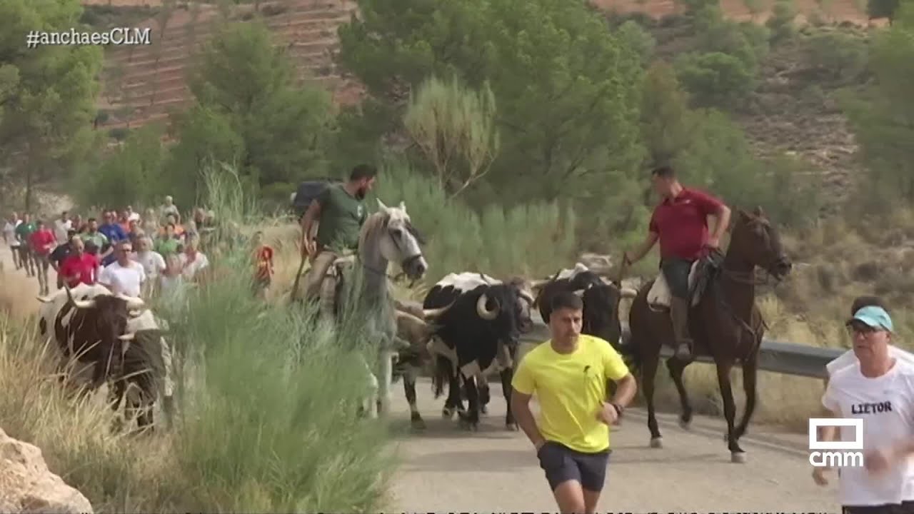 Encierros en Liétor para despedir las fiestas | Ancha es Castilla-La Mancha