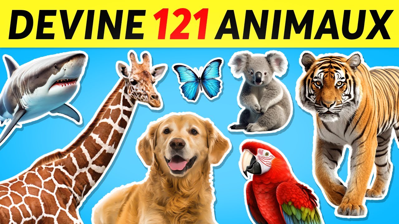 Devine 121 animaux en 3 secondes 🐯⏱️ | Facile, Moyen, Difficile, Impossible