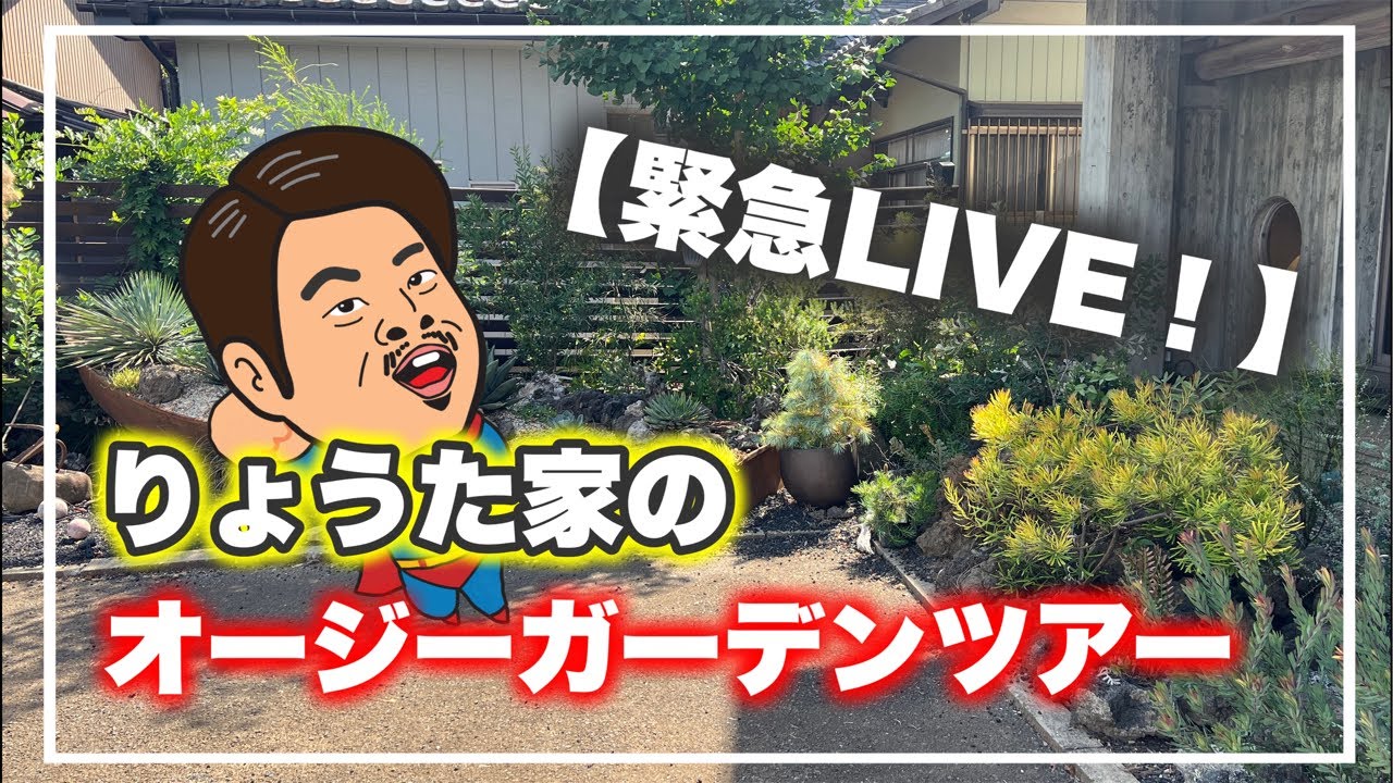【緊急ライブ】りょうた家のオージーガーデンツアー！