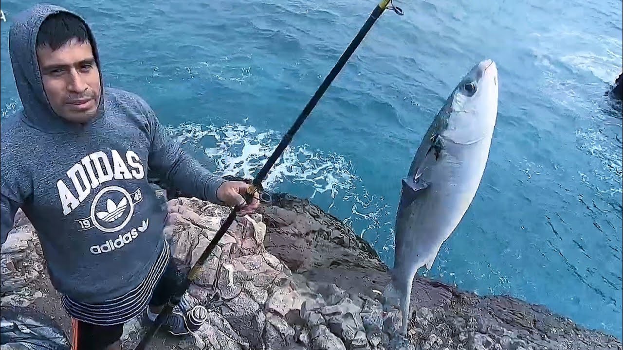 Wooowl!!  Mira PESCADORES pescan LISAS con CARNADA