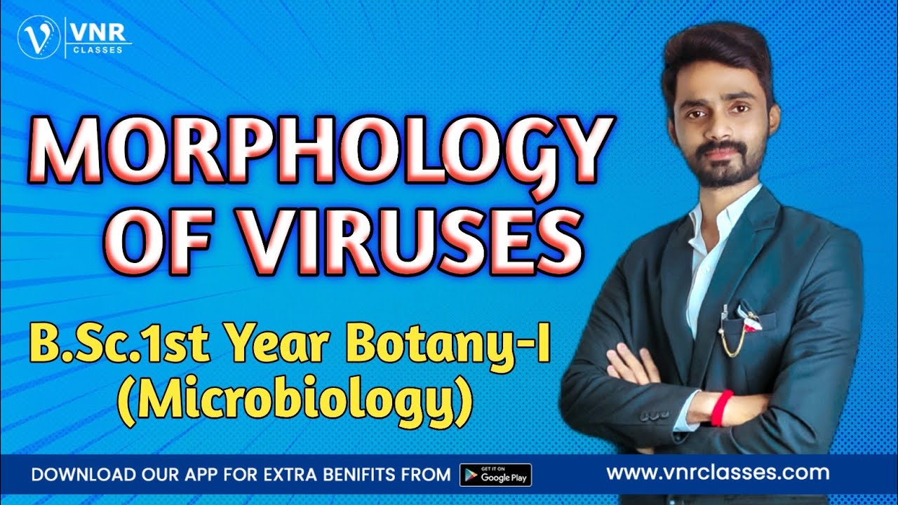 Morphology of Viruses || B.Sc. 1st Year Botany-I (Microbiology)|| Unit -1 | All India University ...