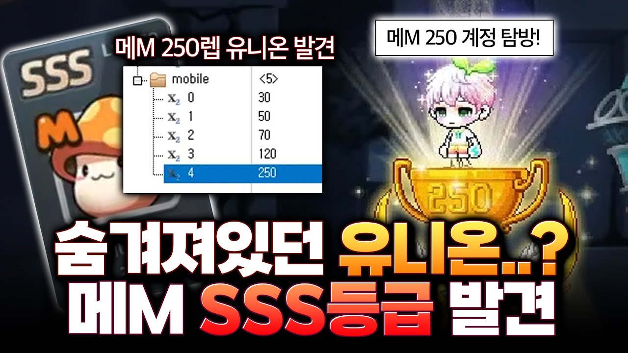 메M250하면 스펙업이 된다고?ㄷㄷ 메M 장인 잔망고님을 모셨습니다!