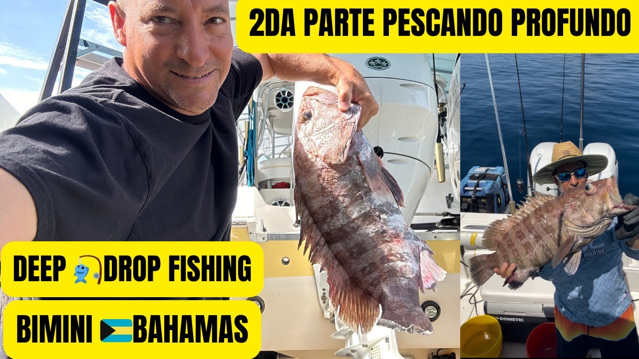 🎣2DA PARTE 🐟PESCANDO PROFUNDO🇧🇸 BIMINI BAHAMAS