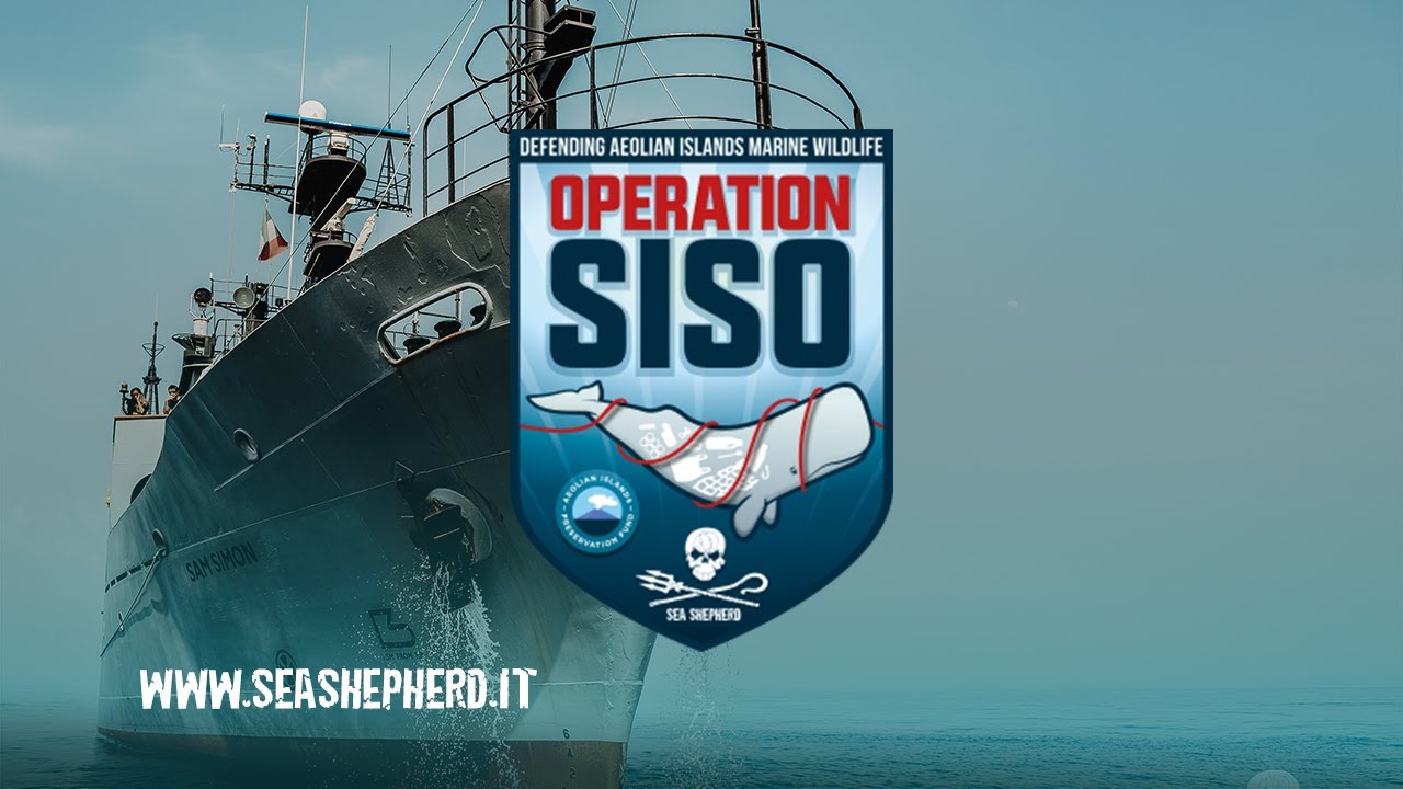 OPERAZIONE SISO 2019