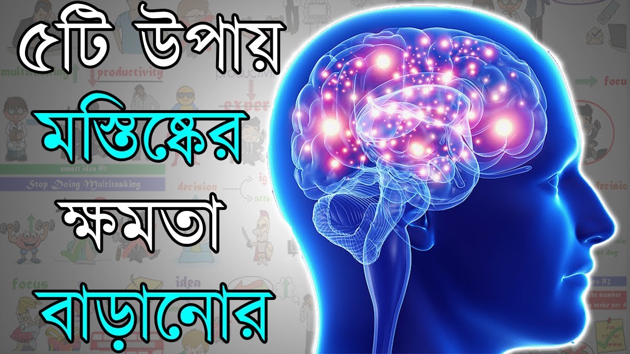 কিভাবে মস্তিষ্কের ক্ষমতা বাড়ানো সম্ভব | How to Increase Your Brain Power in Bangla